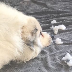 Meet your Posher, Jeannie